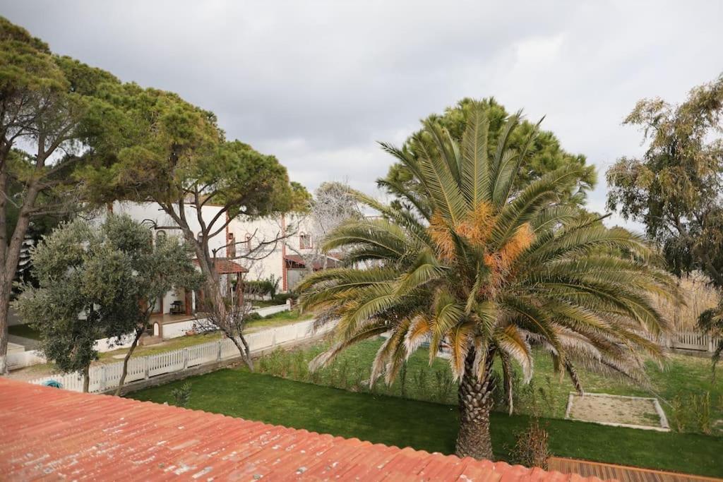 Yfn Urla Seaside House Villa Balikliova Ngoại thất bức ảnh